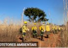 Curso de brigada florestal tem novas datas de inscrição definidas