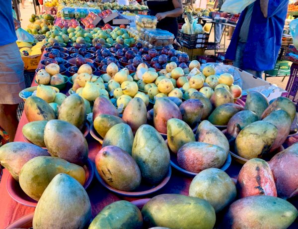 Alimentação equilibrada previne doenças crônicas como diabetes e hipertensão