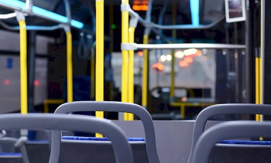 Passageira que encontrou baratas em poltrona deve ser indenizada por empresa de ônibus